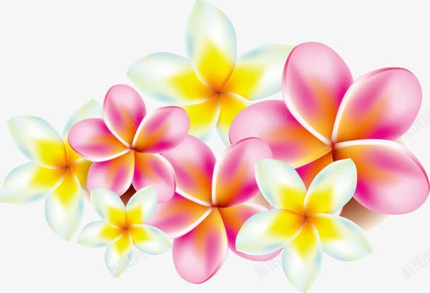 鸡蛋花花瓣png免抠素材_新图网 https://ixintu.com 花 花卉 花朵 花瓣 花蕊 逼真 鲜花 鸡蛋花