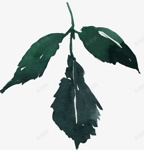 手绘植物绿叶png免抠素材_新图网 https://ixintu.com 手绘叶子 手绘植物绿叶 树叶 植物 水彩叶子 绿叶 绿色