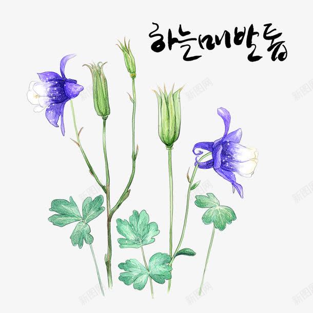 兰花手绘psd免抠素材_新图网 https://ixintu.com 兰花 叶子 手绘