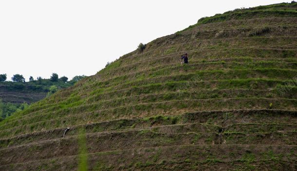 广西龙脊梯田风景png免抠素材_新图网 https://ixintu.com 广西 旅游 景点 美景 风景