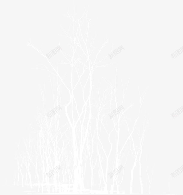 白色冬日美丽树枝png免抠素材_新图网 https://ixintu.com 冬日 树枝 白色 美丽