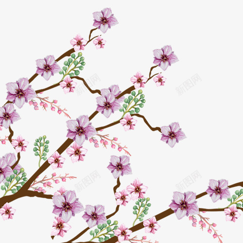 彩色唯美装饰桃花png免抠素材_新图网 https://ixintu.com 唯美桃花 彩色底纹 粉色花朵 花卉 装饰图 设计图