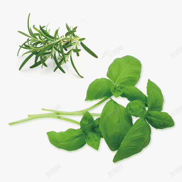 植物药材图标psd_新图网 https://ixintu.com 中国风 中国风草药 中国风草药logo 中国风草药植物 中药 草药