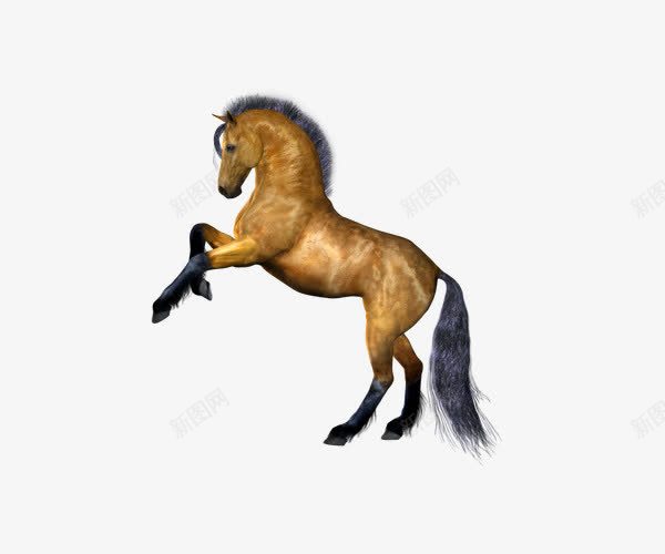 跳跃骏马png免抠素材_新图网 https://ixintu.com 一跃而起 动物 实物 跳跃 马 骏马