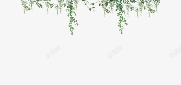 边框绿叶大图png免抠素材_新图网 https://ixintu.com png图片 免抠素材 绿叶 详情设计 边框
