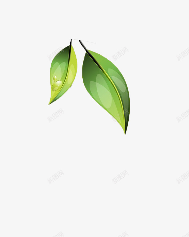 绿色清新梦幻唯美水彩手绘叶子png免抠素材_新图网 https://ixintu.com 叶子 手绘叶子 清新叶子 绿色叶子