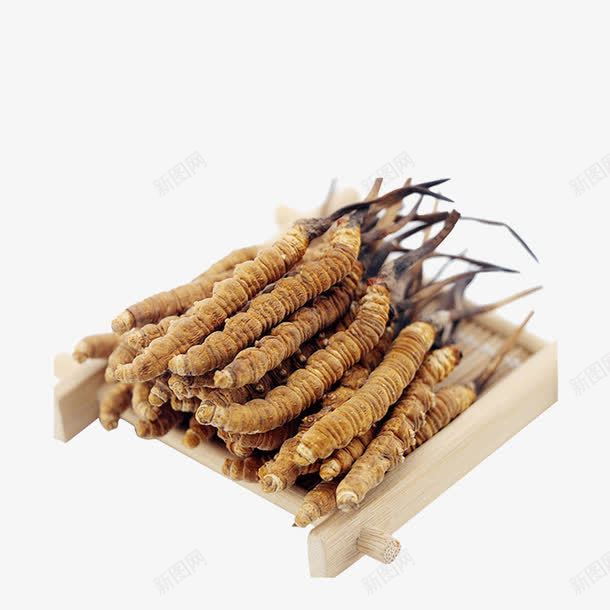 中药材纯天然冬虫夏草png免抠素材_新图网 https://ixintu.com 中华人民共和国西藏自治区 中国西藏 中药 产品实物 断草 新草 药材 虫草 西藏那曲 道地虫草 野生