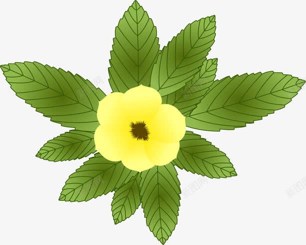 黄色山茶花png免抠素材_新图网 https://ixintu.com 一朵山茶花 山茶 山茶花 矢量素材 黄色山茶
