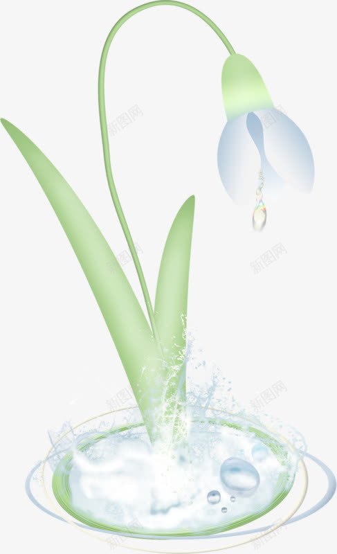 手绘水仙png免抠素材_新图网 https://ixintu.com 植物 淡蓝色 简约 绿色
