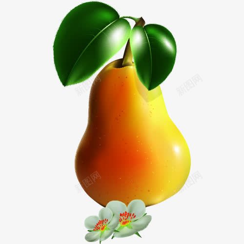 卡通梨子png免抠素材_新图网 https://ixintu.com 免抠 梨子矢量卡通图 热搜图 精美