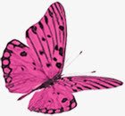 紫色卡通春天飞舞蝴蝶png免抠素材_新图网 https://ixintu.com 卡通 春天 紫色 蝴蝶 飞舞