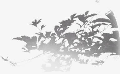 黑色树叶海报背景七夕情人节png免抠素材_新图网 https://ixintu.com 七夕 情人节 树叶 海报 背景 黑色