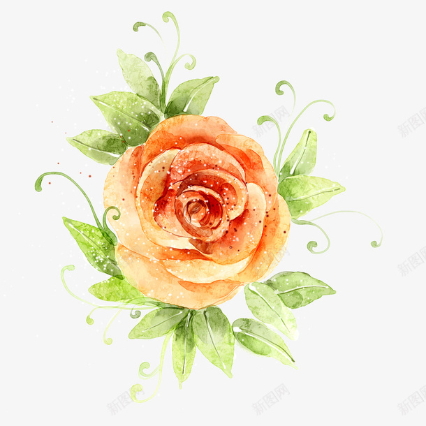 花朵手绘png免抠素材_新图网 https://ixintu.com 彩绘花 彩绘花卉 手绘 手绘植物花卉 手绘花 花卉装饰 花朵手绘