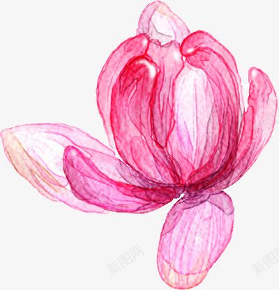 手绘粉色荷花花苞png免抠素材_新图网 https://ixintu.com 手绘 粉色 花苞 荷花