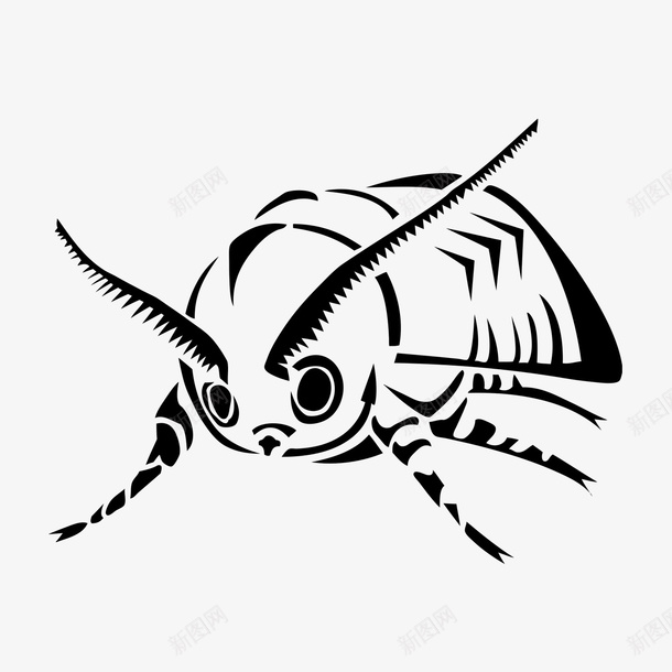 黑色手绘甲壳虫png免抠素材_新图网 https://ixintu.com 手绘虫子 水墨虫子 甲壳虫 矢量虫子 虫子 黑虫子