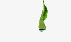 一片滴水的绿色叶子素材