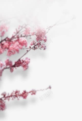 红色朦胧花卉海报背景png免抠素材_新图网 https://ixintu.com 朦胧 海报 红色 背景 花卉