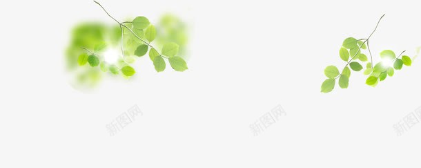 绿色梦幻春天植物树叶png免抠素材_新图网 https://ixintu.com 春天 树叶 梦幻 植物 绿色