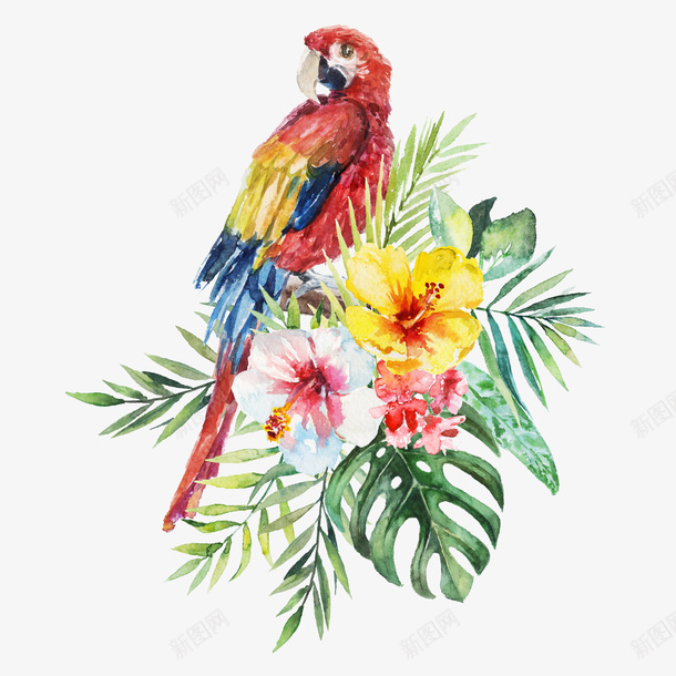 手绘水彩小清新植物叶子png免抠素材_新图网 https://ixintu.com 创意 卡通手绘 唯美 小清新 水彩 花卉 花朵 装饰