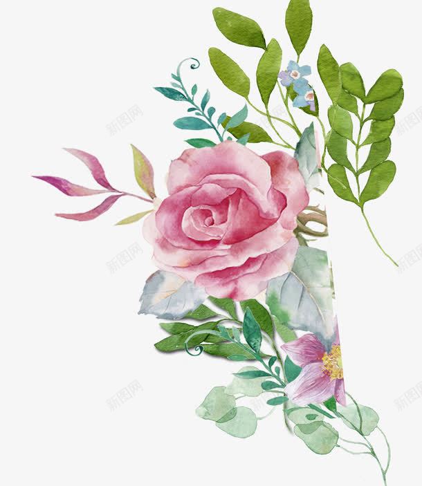 手绘水彩绘画玫瑰花png免抠素材_新图网 https://ixintu.com 娇艳 手绘 水彩 玫瑰花 绘画 绿叶