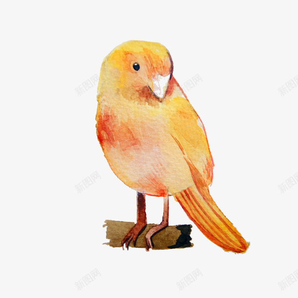 黄色小清新的小鸟矢量图eps免抠素材_新图网 https://ixintu.com 卡通 卡通小鸟 可爱 可爱小鸟 小清新 水彩 水彩小鸟 矢量图