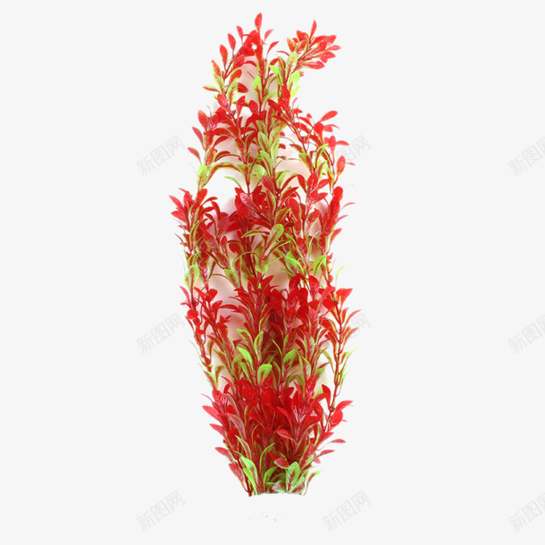 鱼缸长50cm柔软仿真水草png免抠素材_新图网 https://ixintu.com 产品实物 水草后景装饰长草 鱼缸水族箱造景 鱼缸长50cm柔软仿真水草