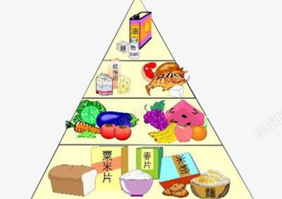 膳食营养金字塔png免抠素材_新图网 https://ixintu.com 健康 均匀 搭配 食物