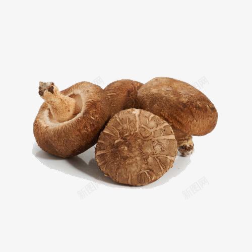 菌菇香菇png免抠素材_新图网 https://ixintu.com 产品实物 有机香菇 菌菇香菇 香菇