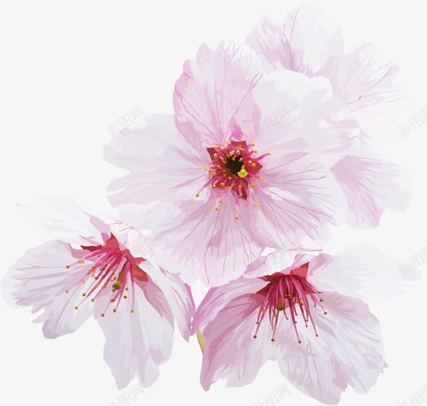 淡粉色唯美小花可爱png免抠素材_新图网 https://ixintu.com 可爱 粉色