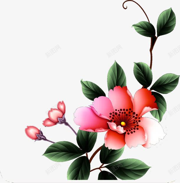 手绘花朵绿叶海报png免抠素材_新图网 https://ixintu.com 海报 绿叶 花朵