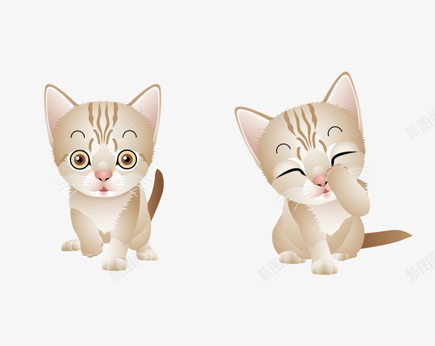两只可爱小猫png免抠素材_新图网 https://ixintu.com 小猫 手绘 手绘动物 手绘小猫