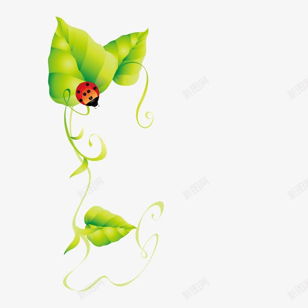 瓢虫绿叶背景png免抠素材_新图网 https://ixintu.com