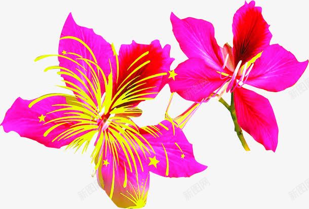 中秋节促销活动粉花png免抠素材_新图网 https://ixintu.com 中秋节 促销 活动