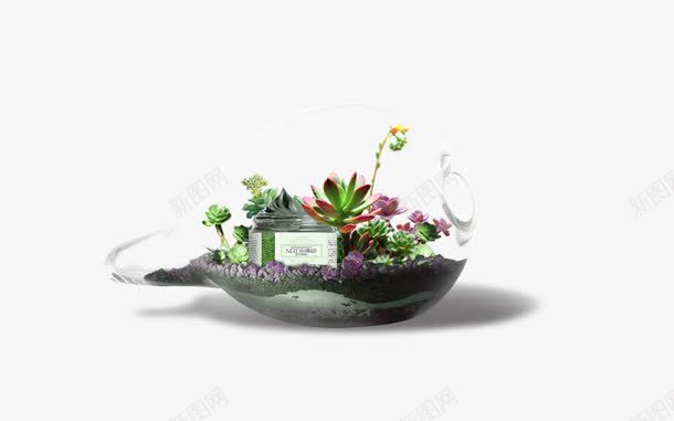 植物png免抠素材_新图网 https://ixintu.com 瓶子植物面膜