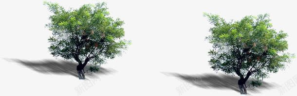 公园绿树植被景观png免抠素材_新图网 https://ixintu.com 公园 景观 植被 绿树