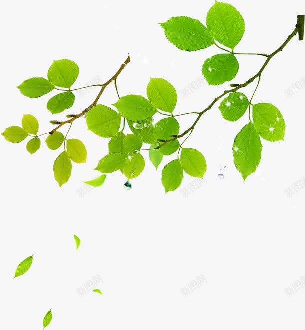 春天卡通绿色树叶风景png免抠素材_新图网 https://ixintu.com 卡通 春天 树叶 绿色 风景