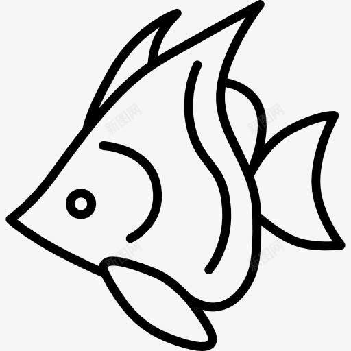 热带鱼图标png_新图网 https://ixintu.com 动物 水下 海 海上生活 海洋 野生