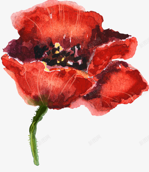 手绘花朵png免抠素材_新图网 https://ixintu.com 植物 水彩花朵红色花朵 花卉 虞美人
