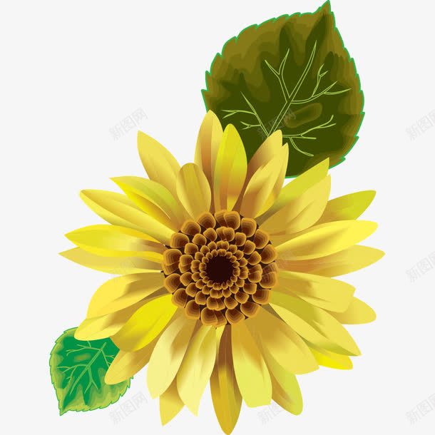 向日葵太阳花花卉黄色花朵png免抠素材_新图网 https://ixintu.com 向日葵