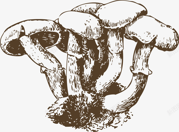 白色长条卡通菌类png免抠素材_新图网 https://ixintu.com 卡通菌类 卡通风格 白色长条 矢量菌类 菌类 菌类植物