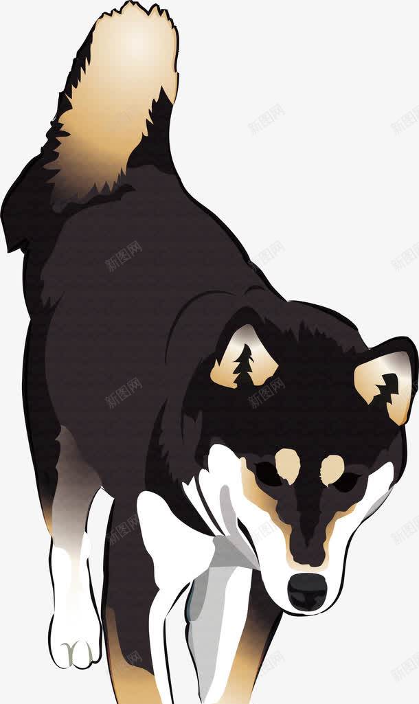 呆萌柴犬狗狗png免抠素材_新图网 https://ixintu.com 可爱 呆萌 呆萌狗狗 柴犬 狗狗 狗狗设计