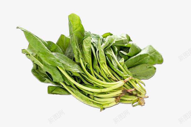 绿色psd绿色食品png免抠素材_新图网 https://ixintu.com psd 绿色 绿色食品 菠菜 蔬菜俯视