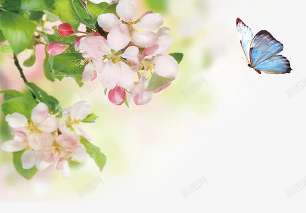 树叶花朵飞舞蝴蝶png免抠素材_新图网 https://ixintu.com 树叶 花朵 蝴蝶 飞舞