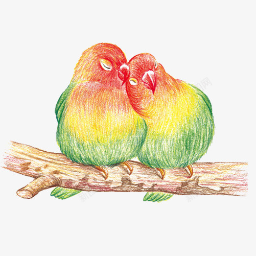 依偎得小鸟手绘画片png免抠素材_新图网 https://ixintu.com 一对 依偎 小鸟 恩爱 手绘色彩画