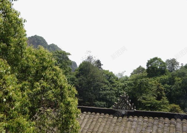 绿色树木png免抠素材_新图网 https://ixintu.com 国内旅游 山门 成都 旅游摄影 牌坊 绿树 青城山 青城山山门