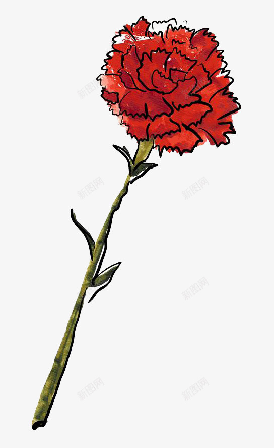 手绘水彩装饰花卉插图一支红色康png免抠素材_新图网 https://ixintu.com 一支 康乃馨 手绘 手绘水彩装饰花卉插图一支红色康乃馨花朵免费下载 水彩 红色 花卉插图 花朵 装饰