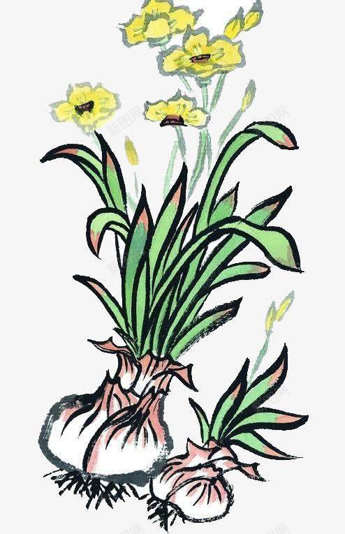 水墨水仙花png免抠素材_新图网 https://ixintu.com 中国风 国画 水仙花 水墨画