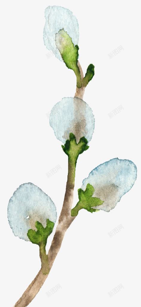 蓝色花苞png免抠素材_新图网 https://ixintu.com 手绘植物 树枝 水彩植物