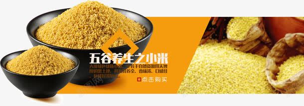 小米png免抠素材_新图网 https://ixintu.com 一碗米 五谷杂粮 小米 小黄米图片 金色