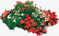 姹紫嫣红png免抠素材_新图网 https://ixintu.com 姹紫嫣红 花丛 花朵